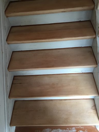 Treppe mit Ochenblut gestrichen. Nach dem Schleifen